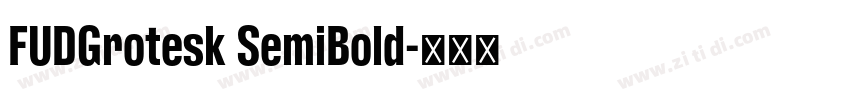 FUDGrotesk SemiBold字体转换
